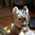 Sandra Wilhelm's profile image