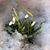 Molly Sadler Espenel's profile image