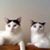 Robyn Rhea's profile image