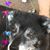 Peggy Miller's profile image