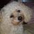 Melly Vargas's profile image