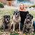 Sheri Marie's profile image