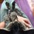 Marlys Hersey's profile image
