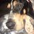 Mary McBride's profile image