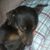 Janice Kuhlman's profile image