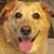 Susan Brown Rhoad's profile image