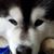 Julie McKown's profile image