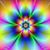 Janice Thompson Tadlock's profile image