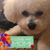 Marilyn Keller Stearn's profile image