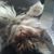 Barbara Rhudy's profile image