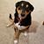 Sandy Gruber's profile image
