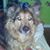 John Ferreira's profile image