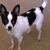 Larry Kroesing's profile image