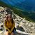 Katie Peretti's profile image