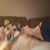 Amy Letchford's profile image