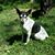 Sheila Crawford's profile image