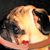 Janice Kambarn's profile image
