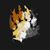 Brad Crandall's profile image