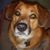 Jon Passic's profile image