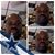 Kareem Morgan's profile image