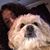 Kristen Corvino's profile image