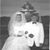 Jackie Sanders's profile image