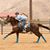 Samantha Burkart's profile image