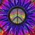 Laura Wetzel's profile image
