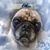 Gabby C Ackman's profile image
