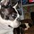 Dena Perry Miller's profile image