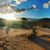 Shauna Klingler's profile image