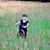 Kristi Rivenbark Croom's profile image