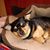 Donna Smith's profile image