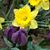 Linda Bickerdyke's profile image