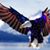 Chris Maschi's profile image