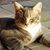 Amy Merten Sanford's profile image