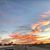 Roxana Luz Rivera's profile image