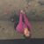 Ellen Cunningham's profile image