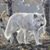 Viresa Perkins's profile image