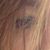 Cesy Johnston's profile image