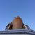 Nina-Eugenia Anastasopoulos-Nikolopoulos's profile image