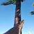 Wendy Harrison's profile image