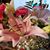 Dawn Smith's profile image