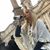 Wendy Walker's profile image