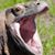 Charles Fenn's profile image