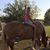 Tari Broussard's profile image