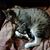 James W. Pegler's profile image