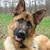 Kim Grimm's profile image