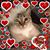 Tamie Cash's profile image