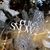 Karen Sokierka Michaelson's profile image